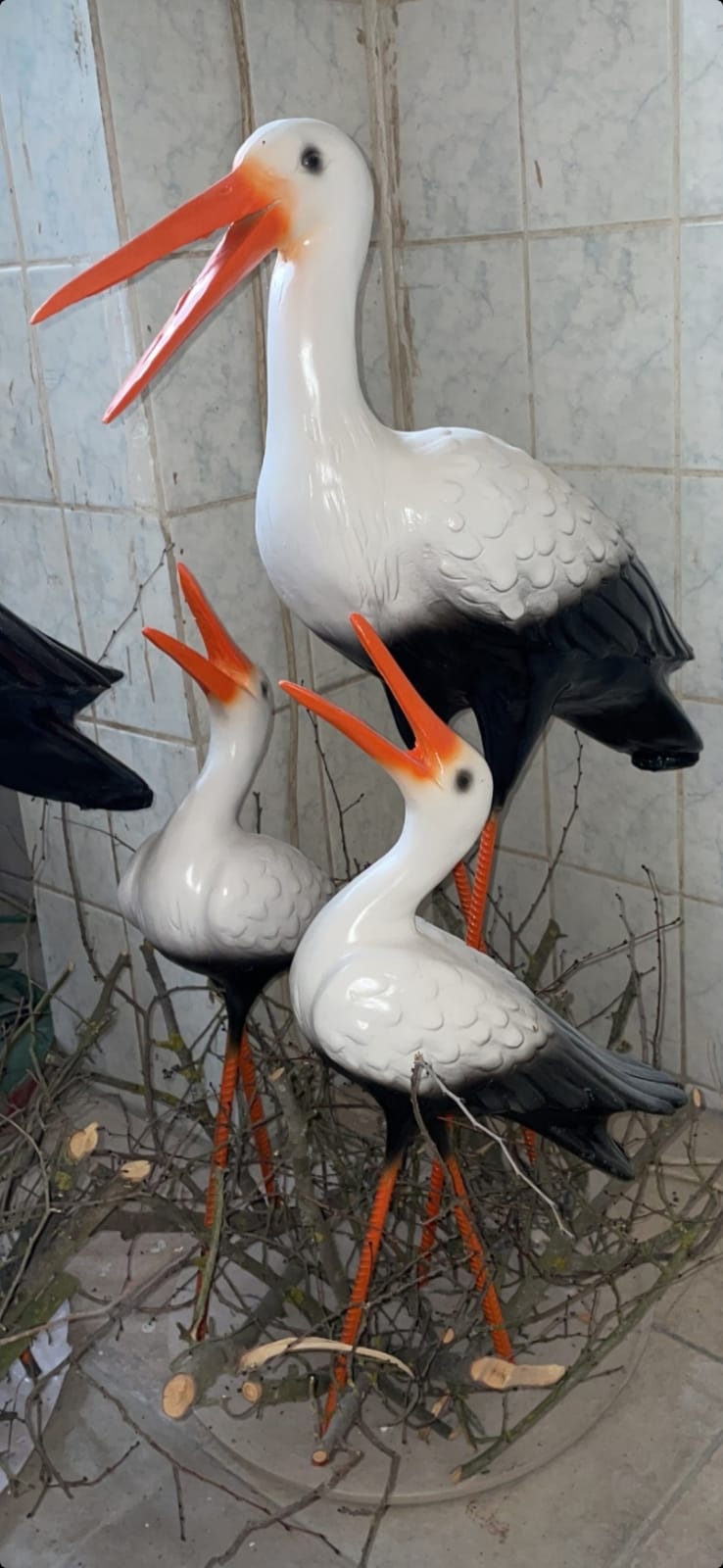 Berberoğlu Biblo Tasarım